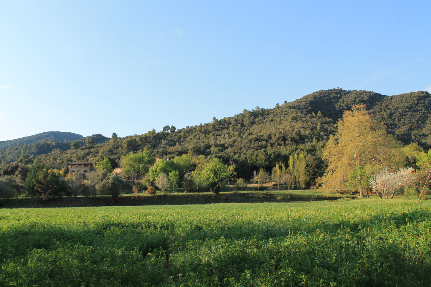 STROLLS AND OUTINGS AROUND THE VALL DEL LLÉMENA